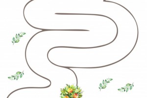 Лабиринты Лабиринты