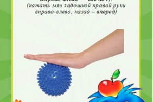 Картотека игр с массажным мячиком Картотека игр с массажным мячиком
