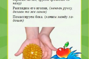 Картотека игр с массажным мячиком Картотека игр с массажным мячиком