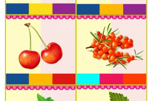 Дидактическая игра "Прищепки" Дидактическая игра "Прищепки"